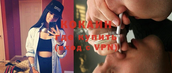 прущие грибы Елабуга