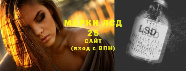 прущие грибы Елабуга