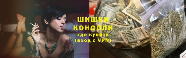 прущие грибы Елабуга