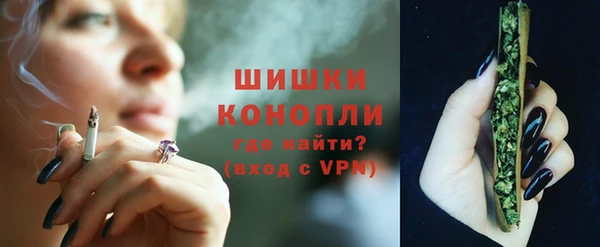 прущие грибы Елабуга