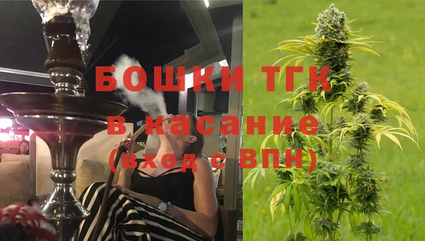 Альфа ПВП Ельня