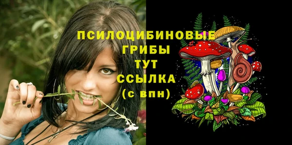 герыч Елизово