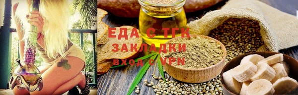 прущие грибы Елабуга