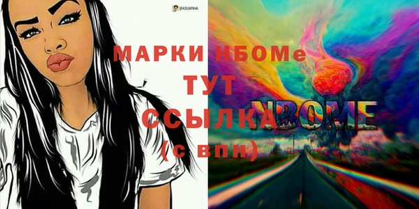 прущие грибы Елабуга