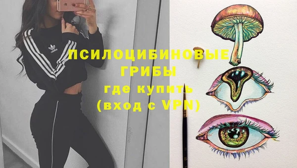 Альфа ПВП Ельня