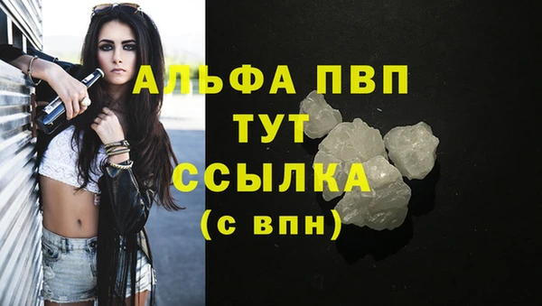 прущие грибы Елабуга